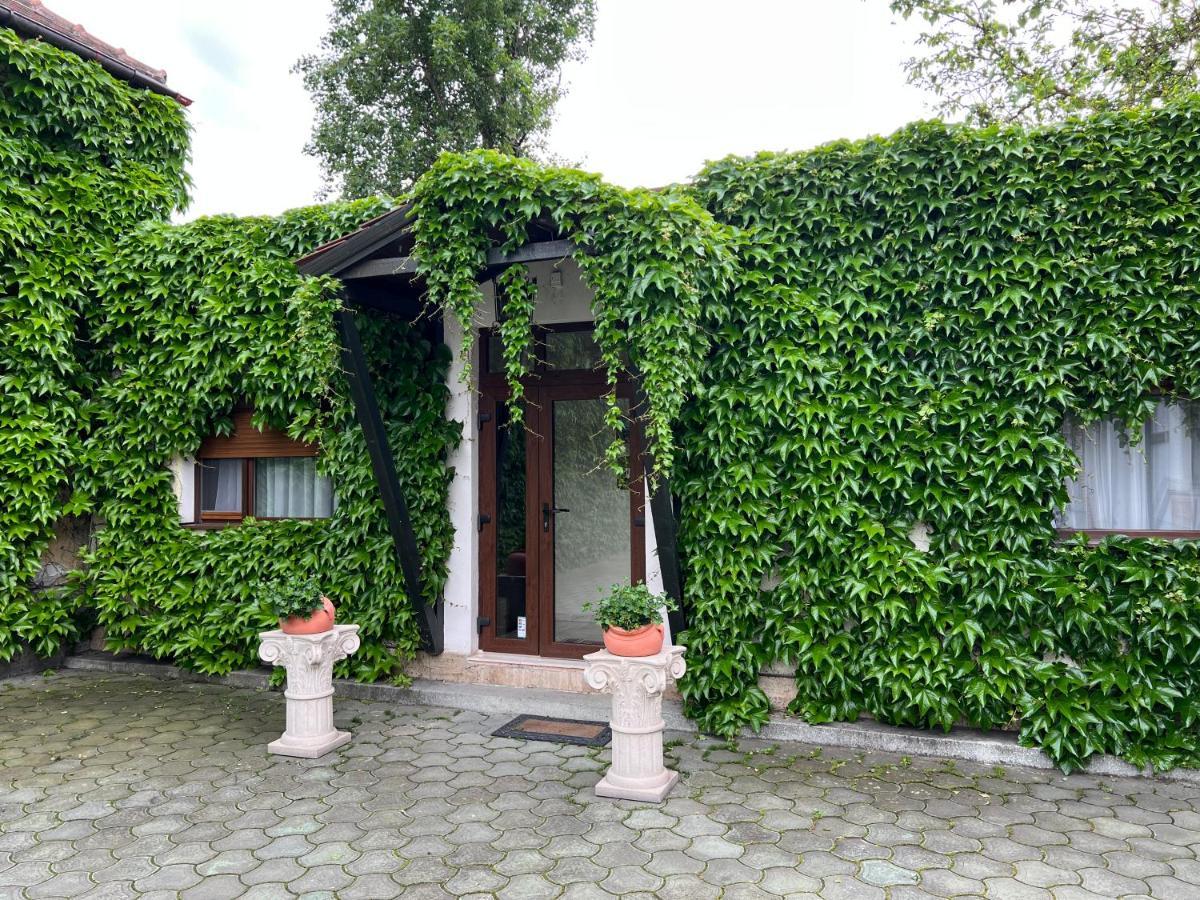 Vila Toscana Тимишоара Экстерьер фото